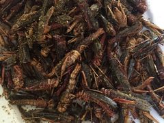 -溢心园香河肉饼总店