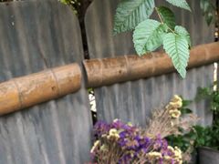 -斯多格书乡(北京大学畅春园店)