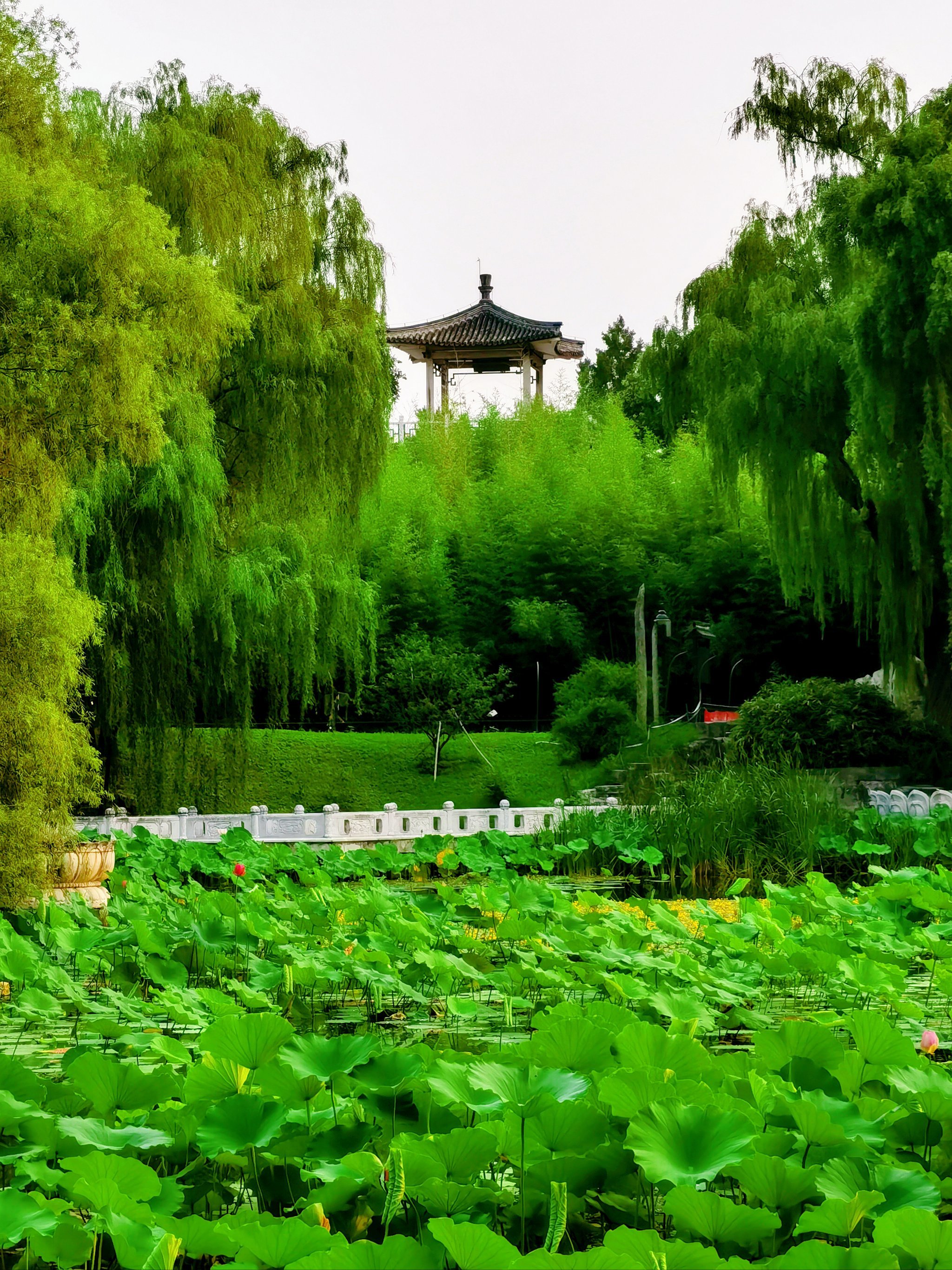 旅行攻略丨北京