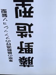 -藤野造型专业烫染接发