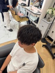-YESIDO椰岛造型