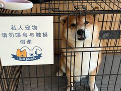 -阿那亚第三食堂 Cafeteria 3