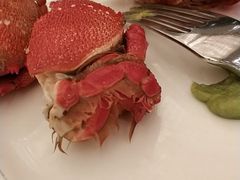 -上海新锦江大酒店