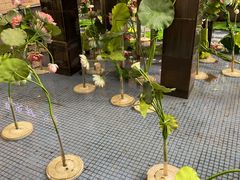 -茉酸奶(松江开元地中海店)