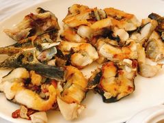 鲟龙仔-渔民新村(番禺总店)