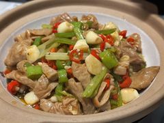 砂锅焗肥肠-凯鸽酒楼(大同振兴街店)