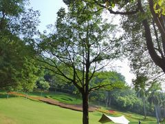 -广州市白云山风景名胜区