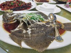 清蒸多宝鱼-明城五号烤鸭坊(建国门店)