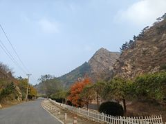 -金龙寺国家森林公园