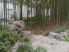 -荆川公园