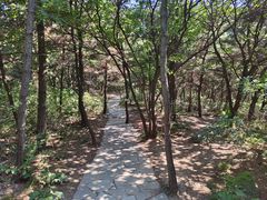 -棒棰岛宾馆景区