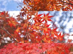 -颐和路民国时期公馆-风貌区