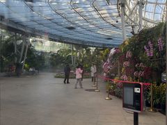 -北京植物园-展览温室