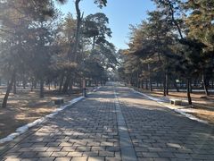 -沈阳市东陵公园
