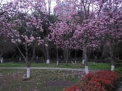 -贵州师范大学(宝山北路校区)