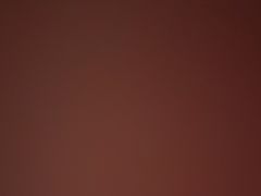 -龙景轩大酒店(宝杨路店)