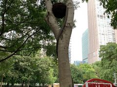 -陆家嘴中心绿地