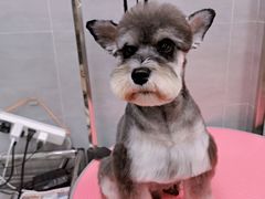 -宠福鑫康馨动物医院·骨科·眼科