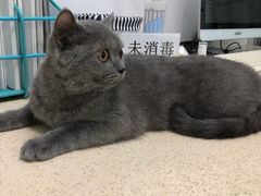 -莘程宠物医院(金山店)