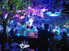 -Dr.Feeling 菲林酒吧(天津店)