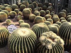 -南山植物园