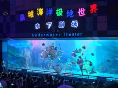 -泉城欧乐堡海洋极地世界