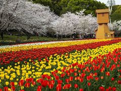 -苏州上方山国家森林公园