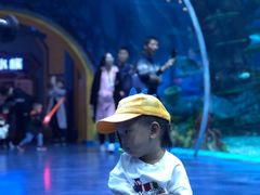 游乐设施-上海海昌海洋公园