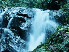 -莫里热带雨林景区