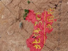 -阿军排档·烧烤