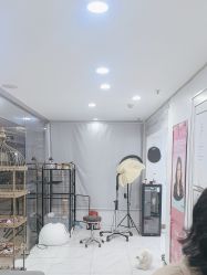 点击看大图 -镁连社·美联社