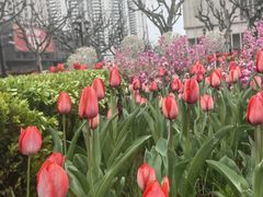 -徐家汇天主堂