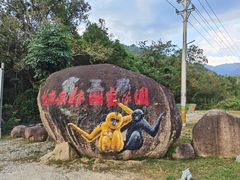 -海南霸王岭国家森林公园