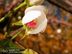-密云菜市场