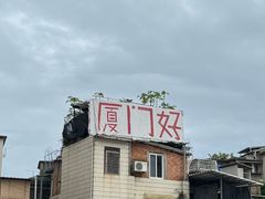 -溪岸路花鸟市场