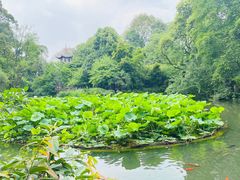 -成都杜甫草堂博物馆