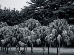 -东风公园