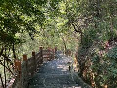 -广州白江湖森林公园