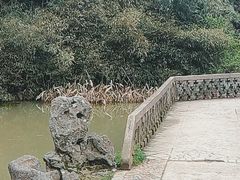 -杭州植物园