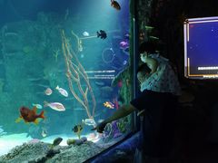 -沈阳海洋探索中心