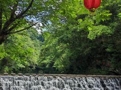 -石台牯牛降景区