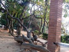 android_upload_pic-八大关景区
