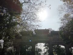 -灵谷景区