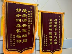 -中农国际动物医院24小时·猫科·骨科·急重症中心