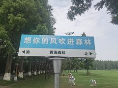 -黄海国家森林公园