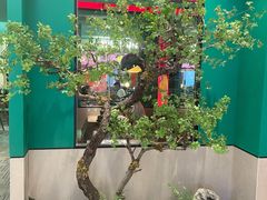 -蛙小侠(五象万象汇店)