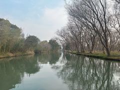 -西溪国家湿地公园