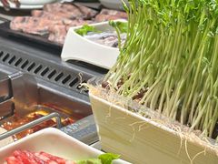 -海底捞火锅(九久奥特莱斯店)