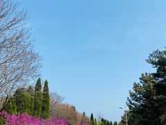 -棒棰岛宾馆景区