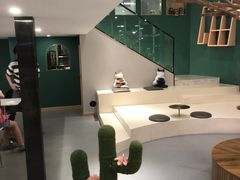 -飞行喵MR PILOT|猫舍·猫咖(静安大融城店)